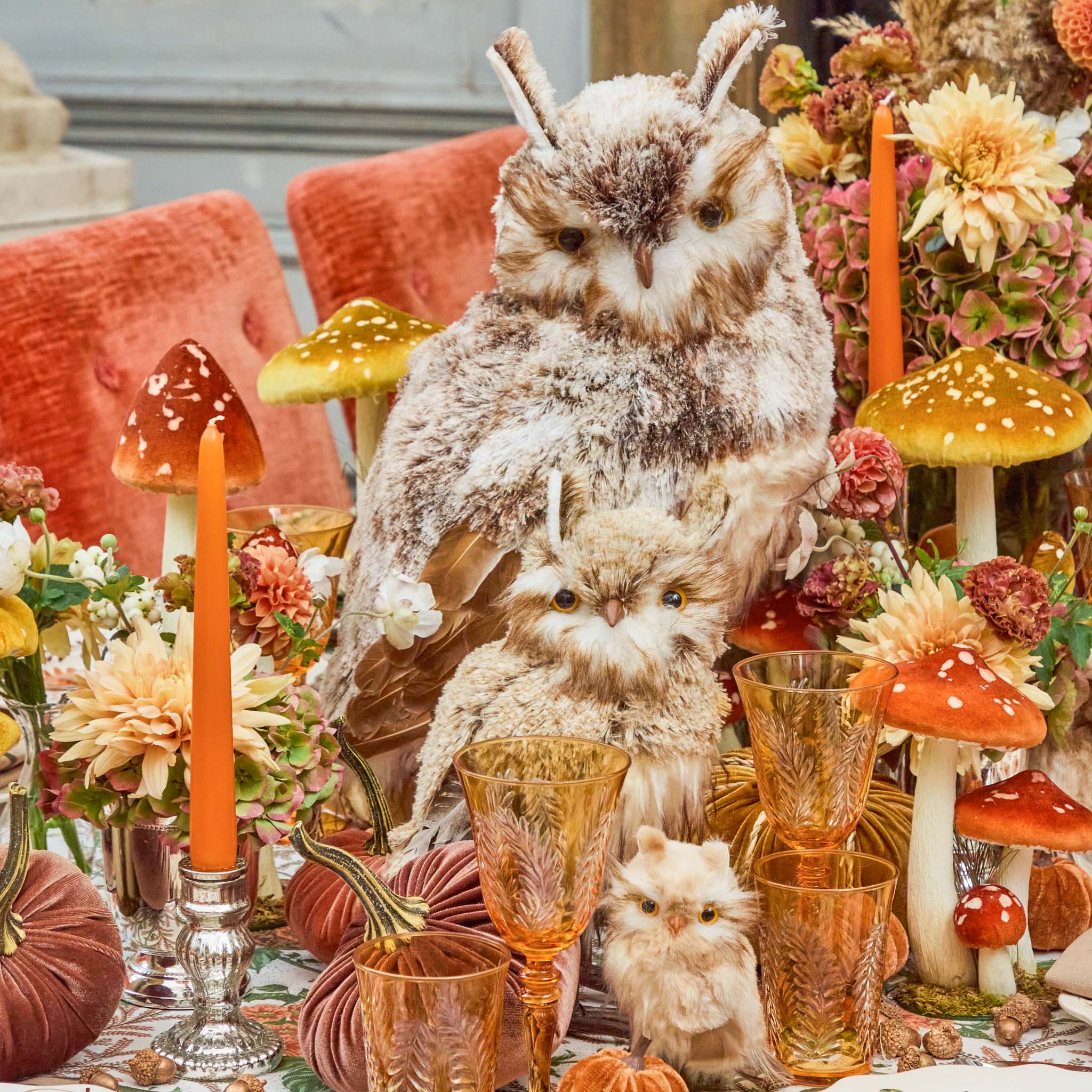 Barn Owl (Pair) - Image 11