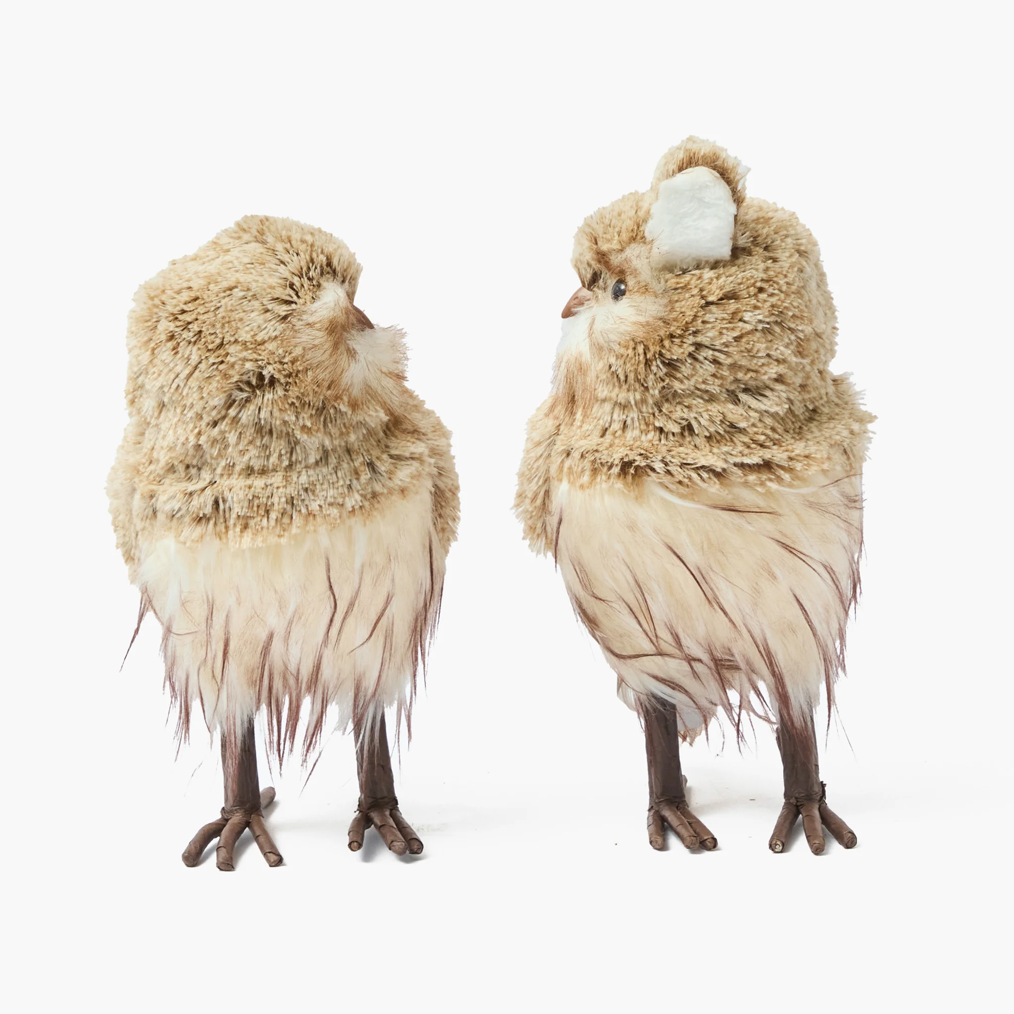 Barn Owl (Pair) - Image 6