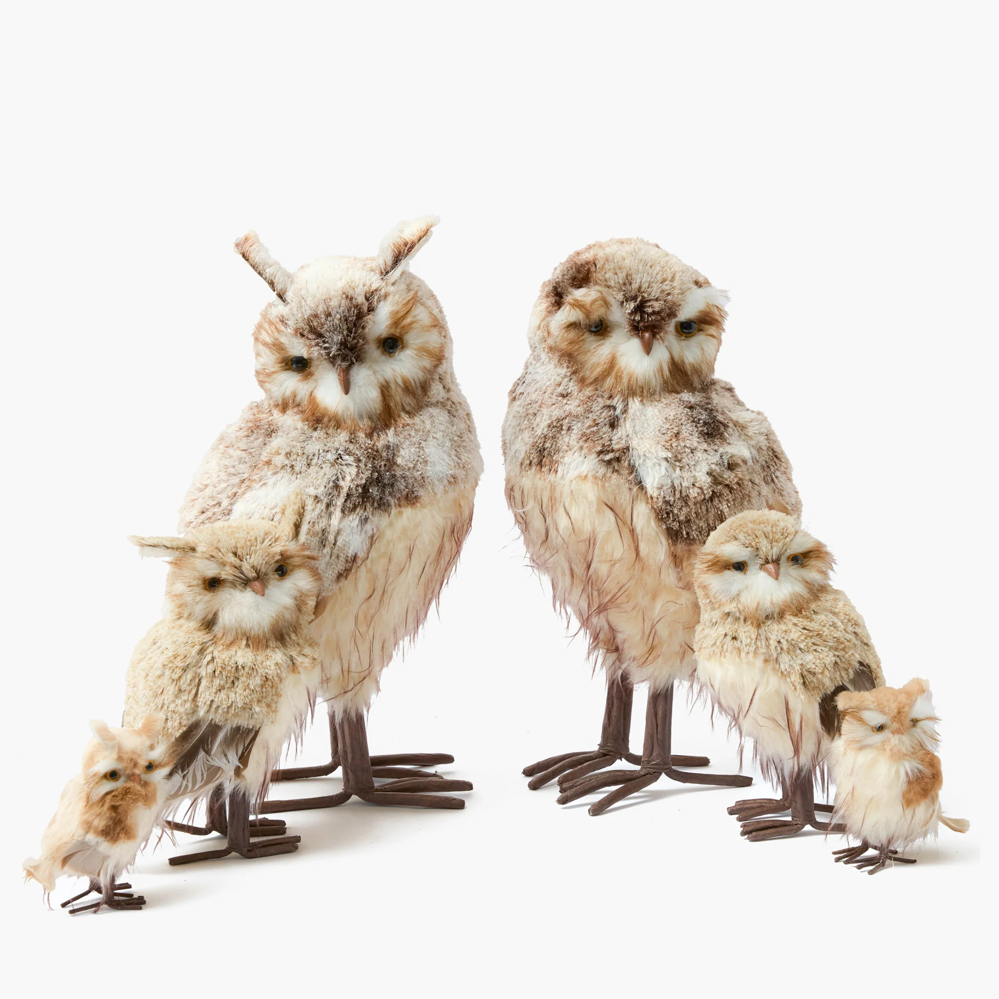 Barn Owl (Pair) - Image 9