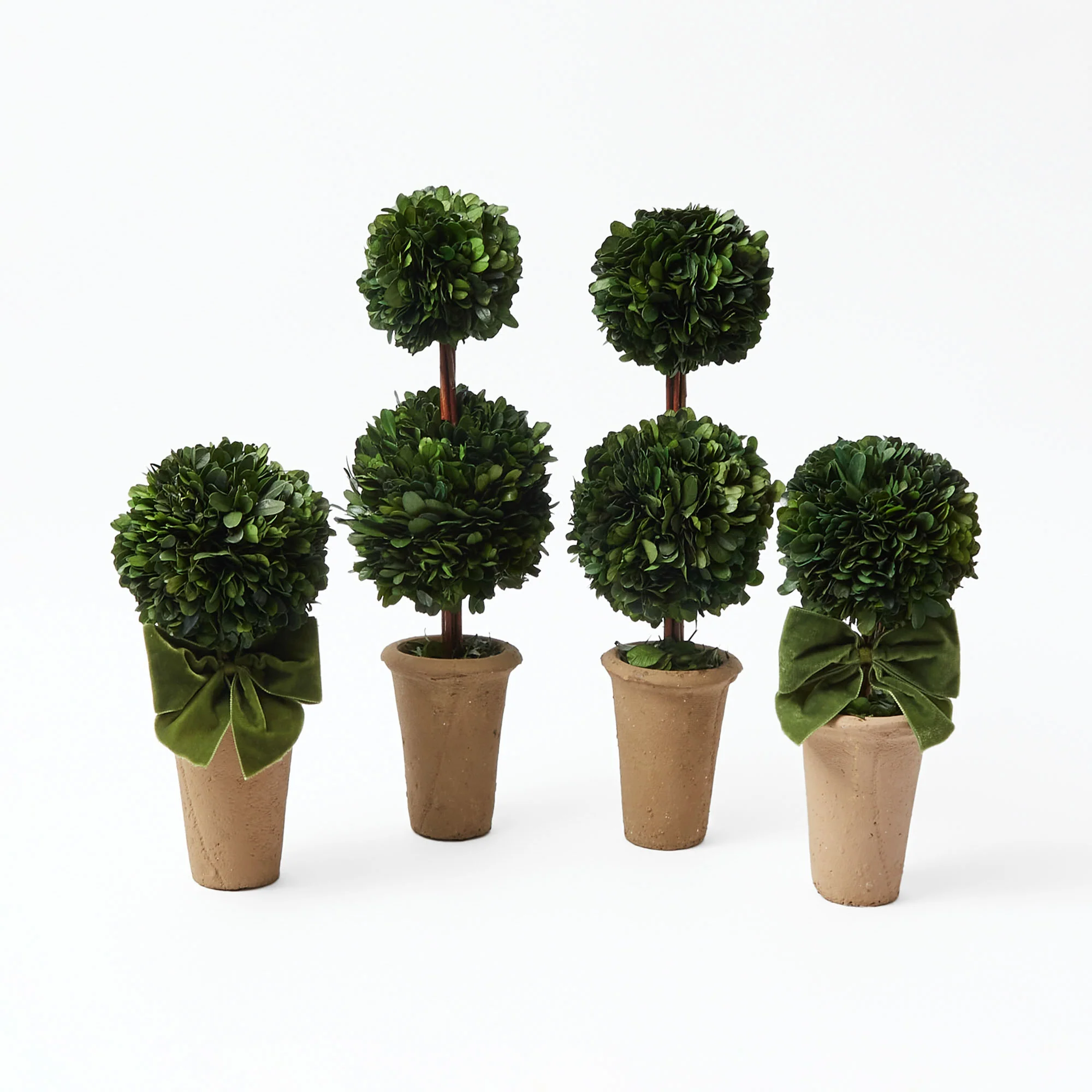 Double Potted Boxwood Balls (Pair) - Image 4