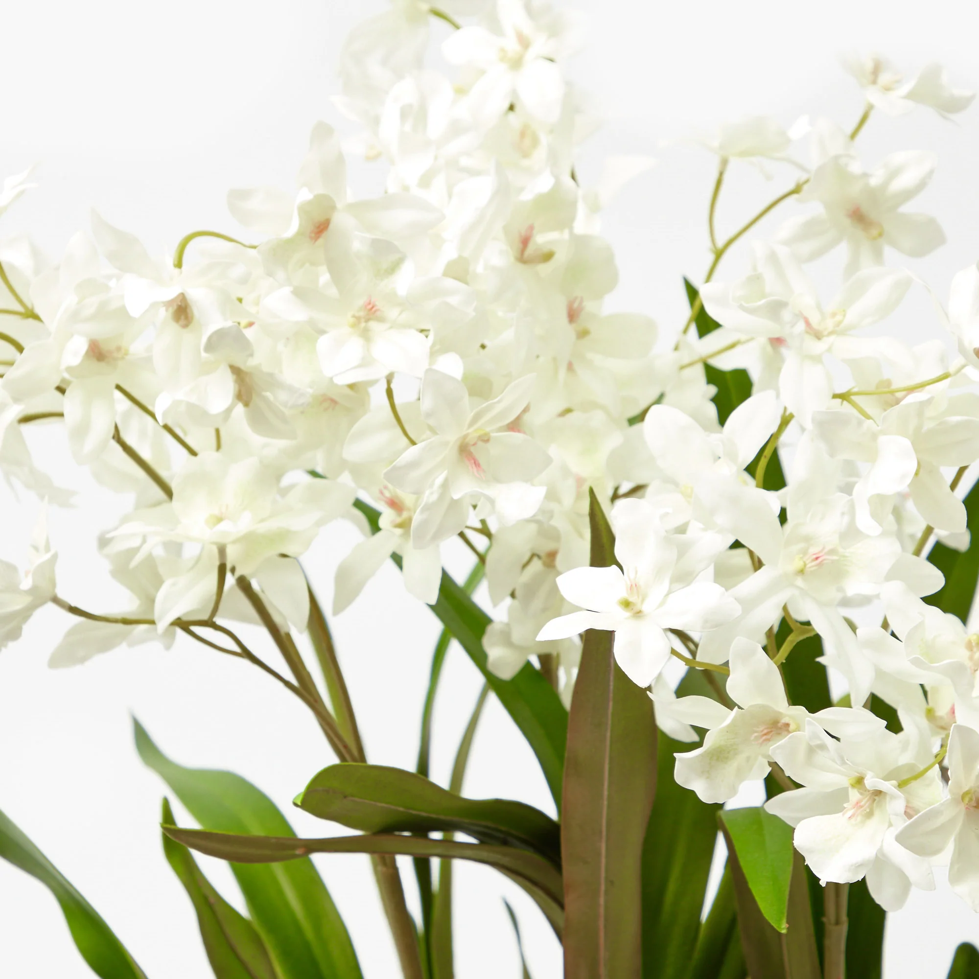 Faux Dancing Lady Orchid in Chinoiserie Planter - Image 4