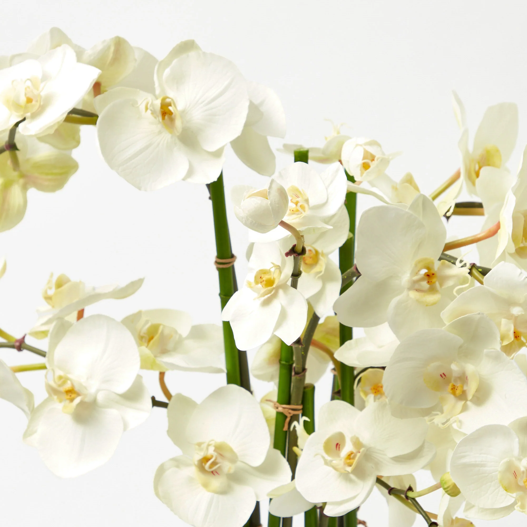 Faux Orchid in Chinoiserie Planter - Image 4