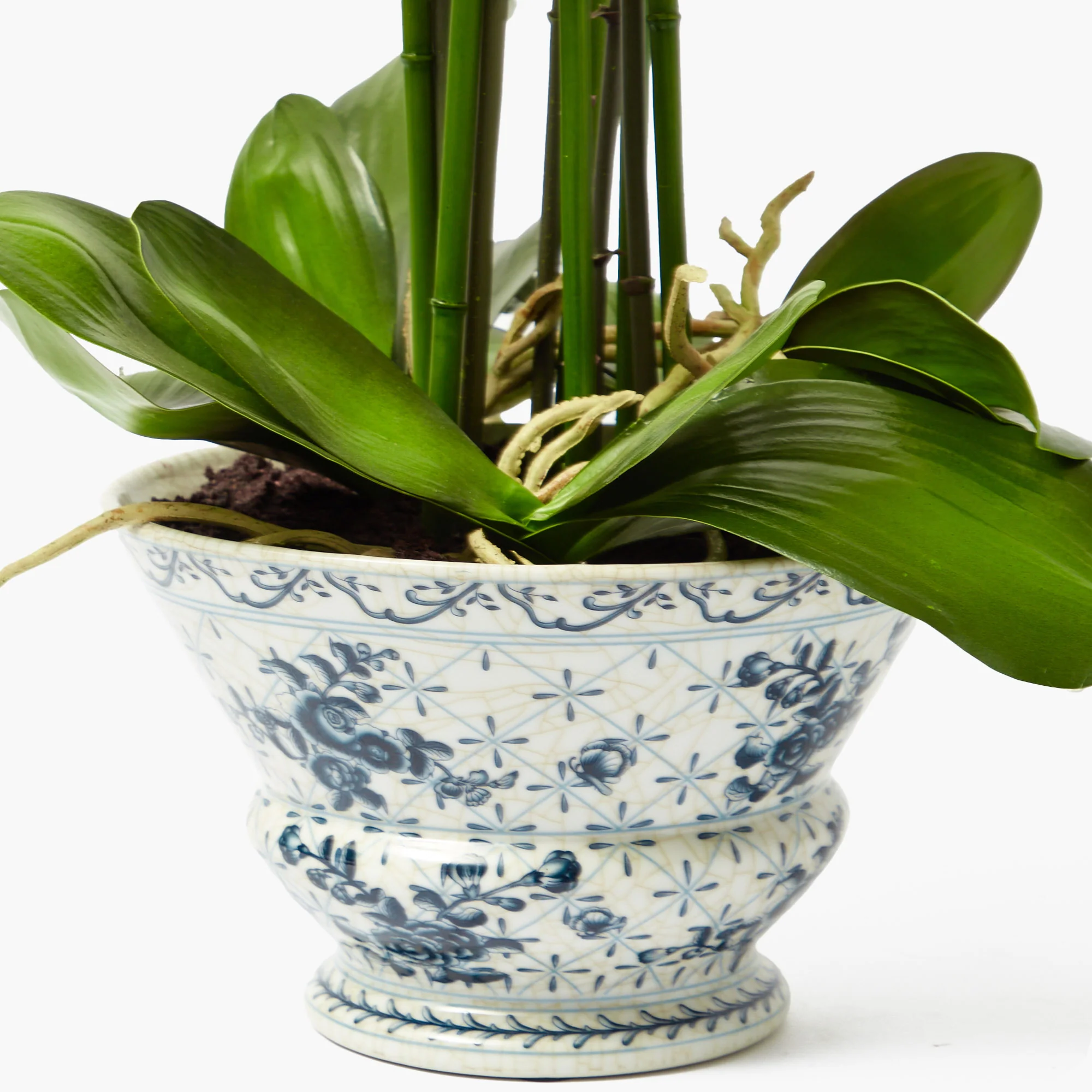Faux Orchid in Chinoiserie Planter - Image 6
