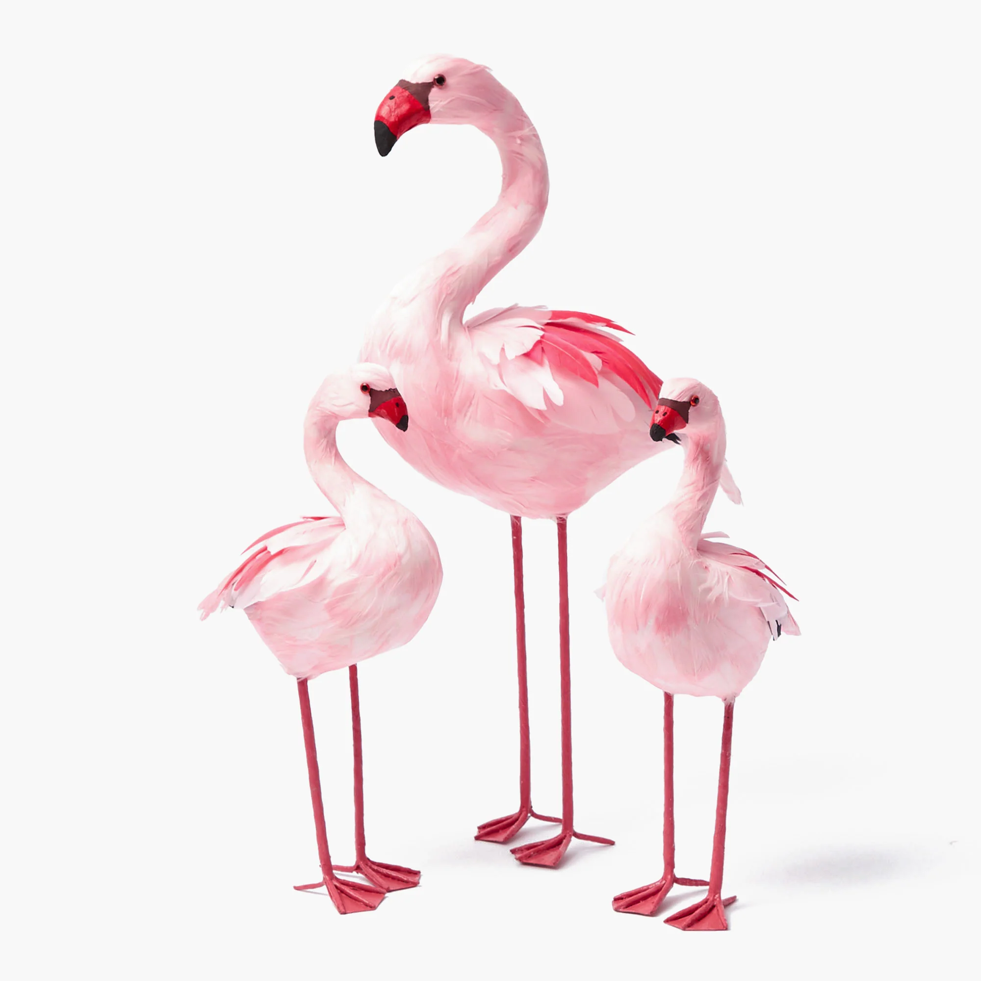 Faye Flamingo Family - Image 18