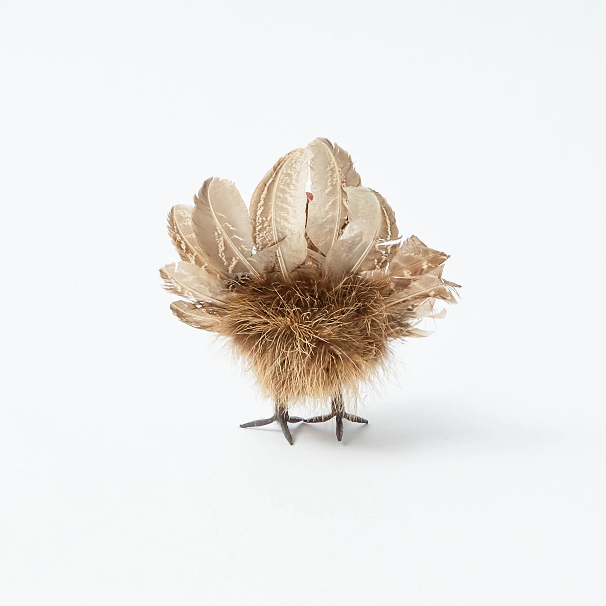 Tina The Tiny Turkey (Set of 4) - Image 11