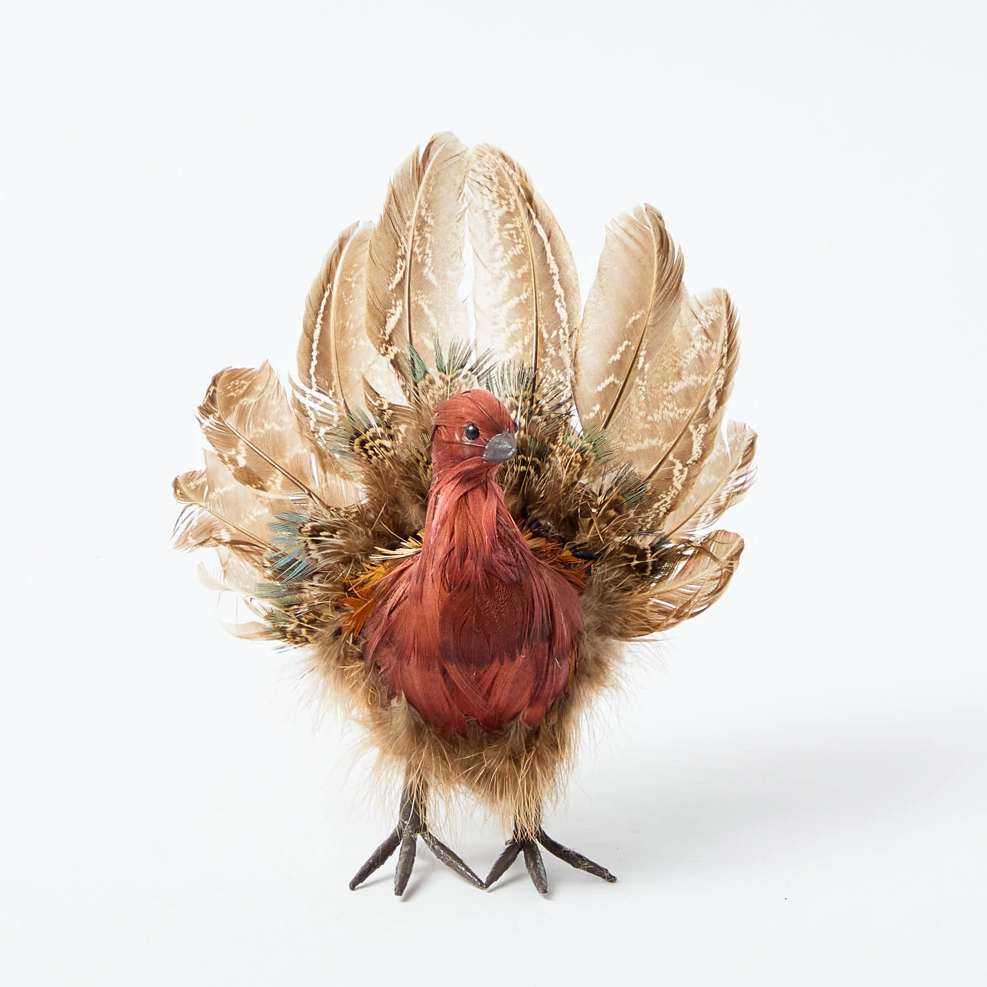 Tina The Tiny Turkey (Set of 4) - Image 5