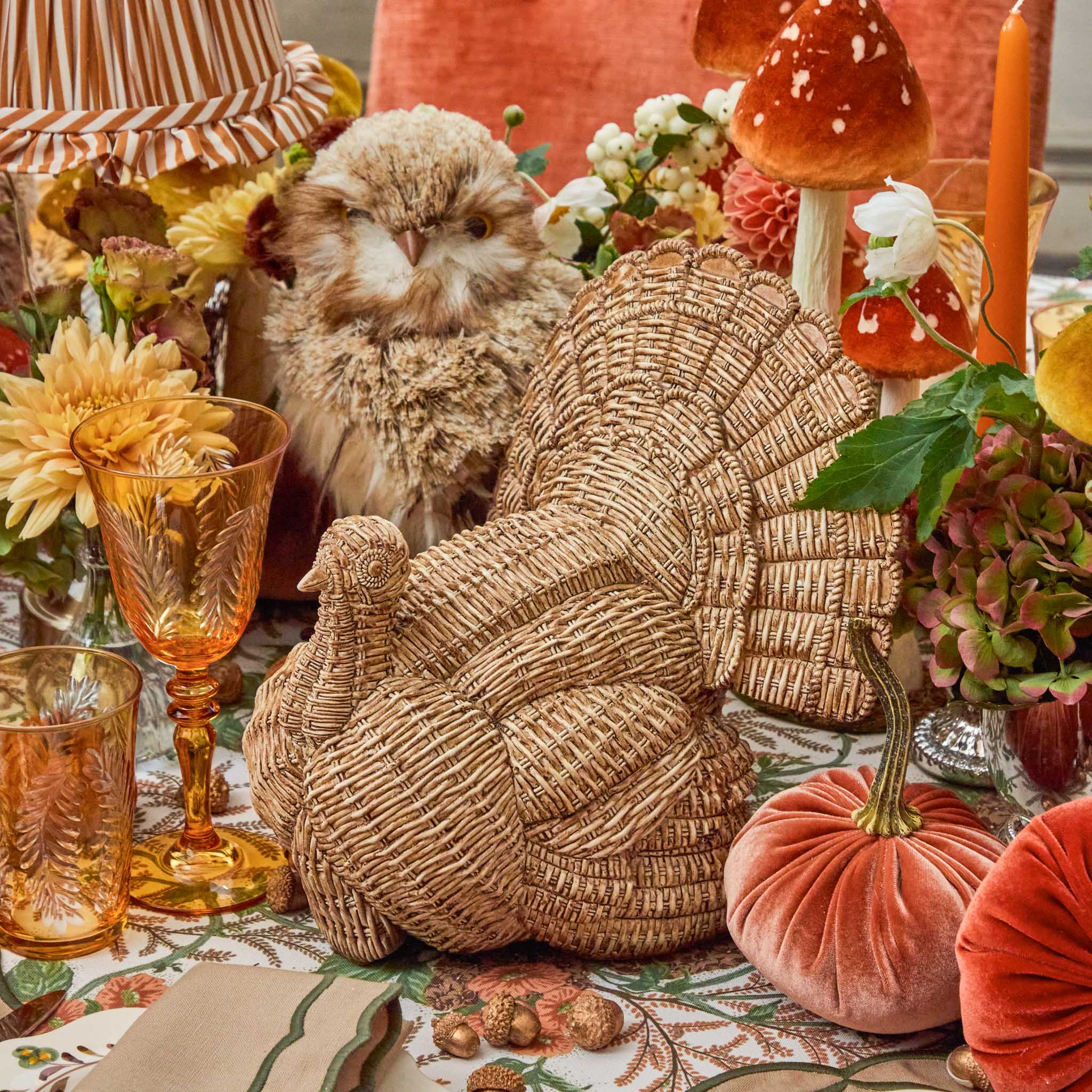 Tom the Turkey - Image 3