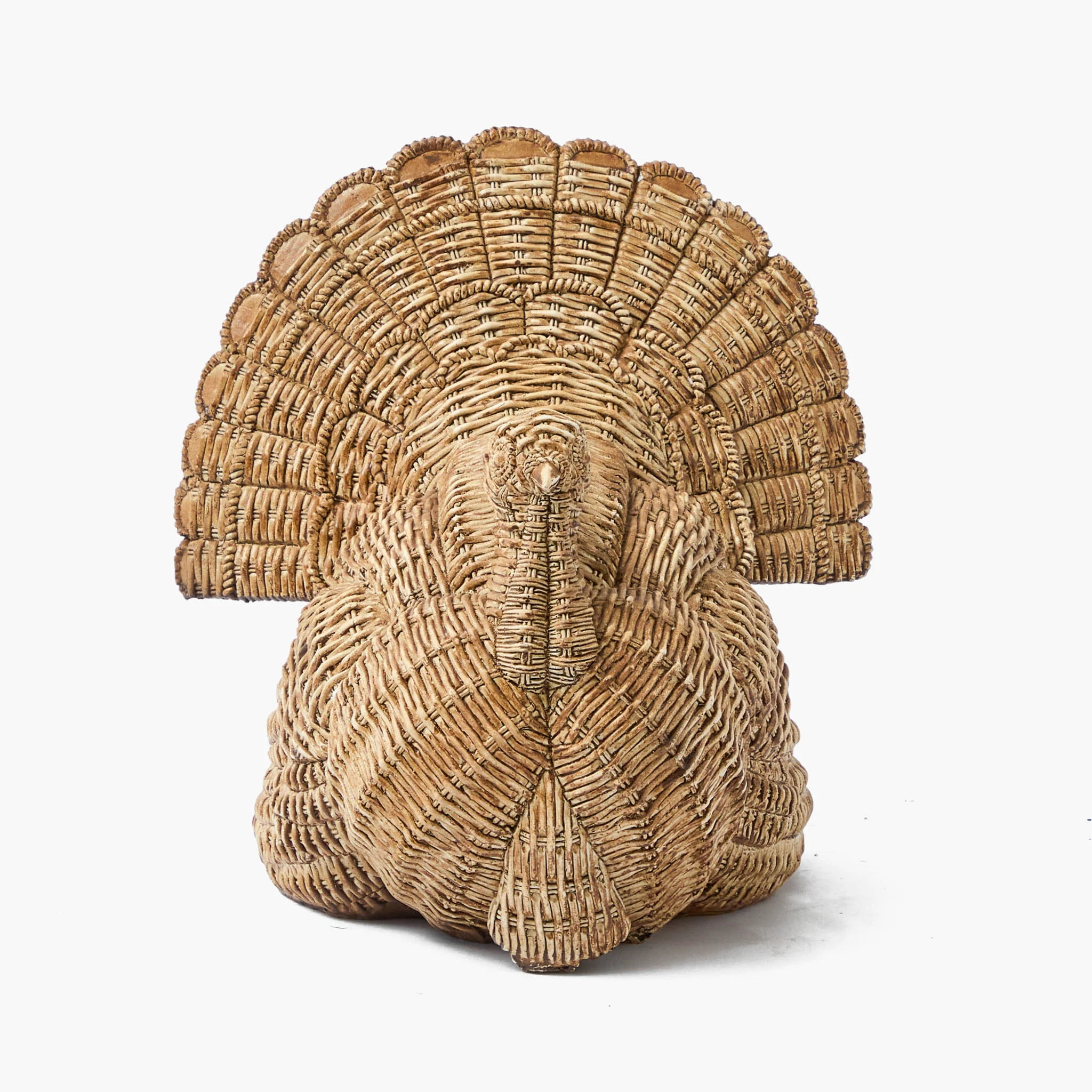 Tom the Turkey - Image 4