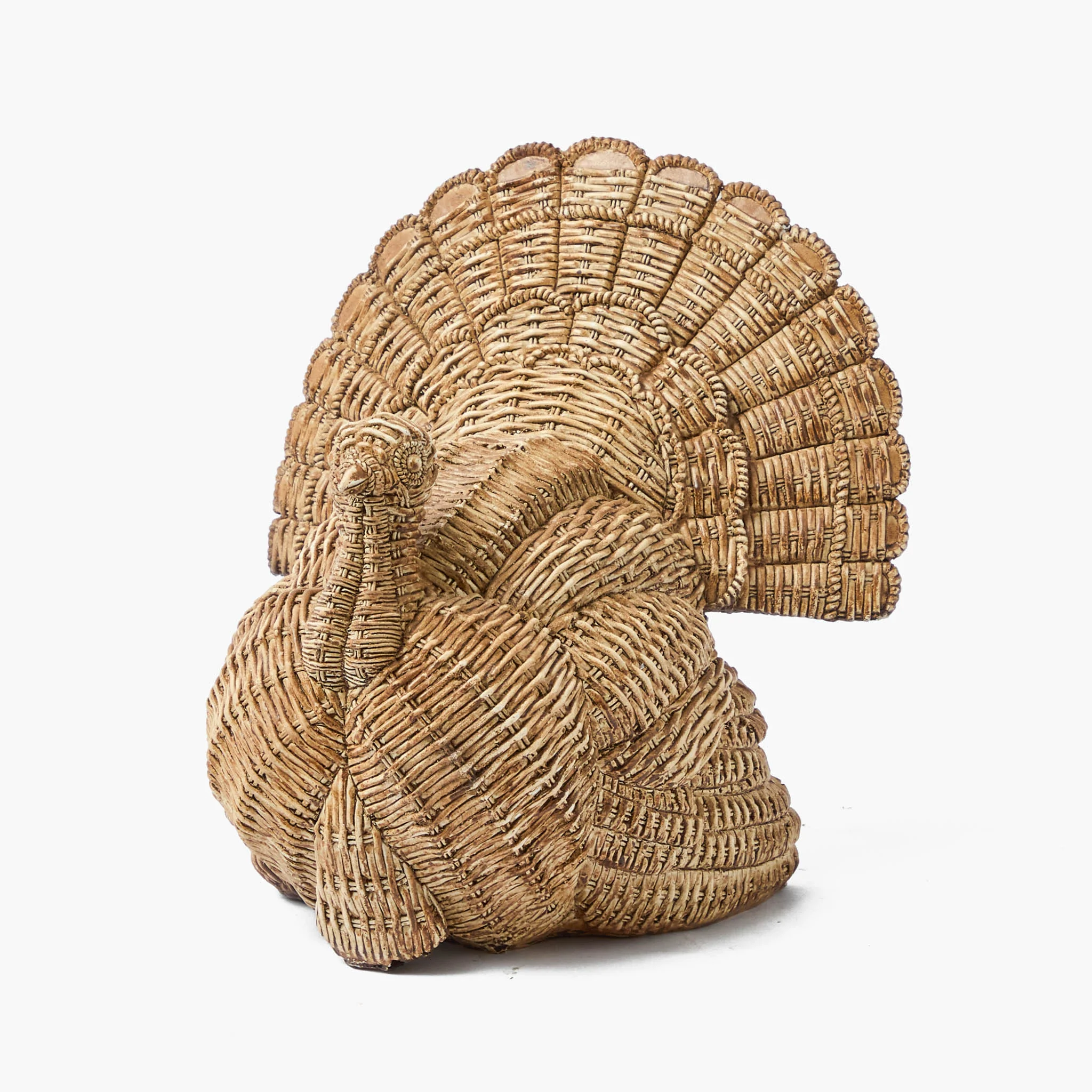 Tom the Turkey - Image 6