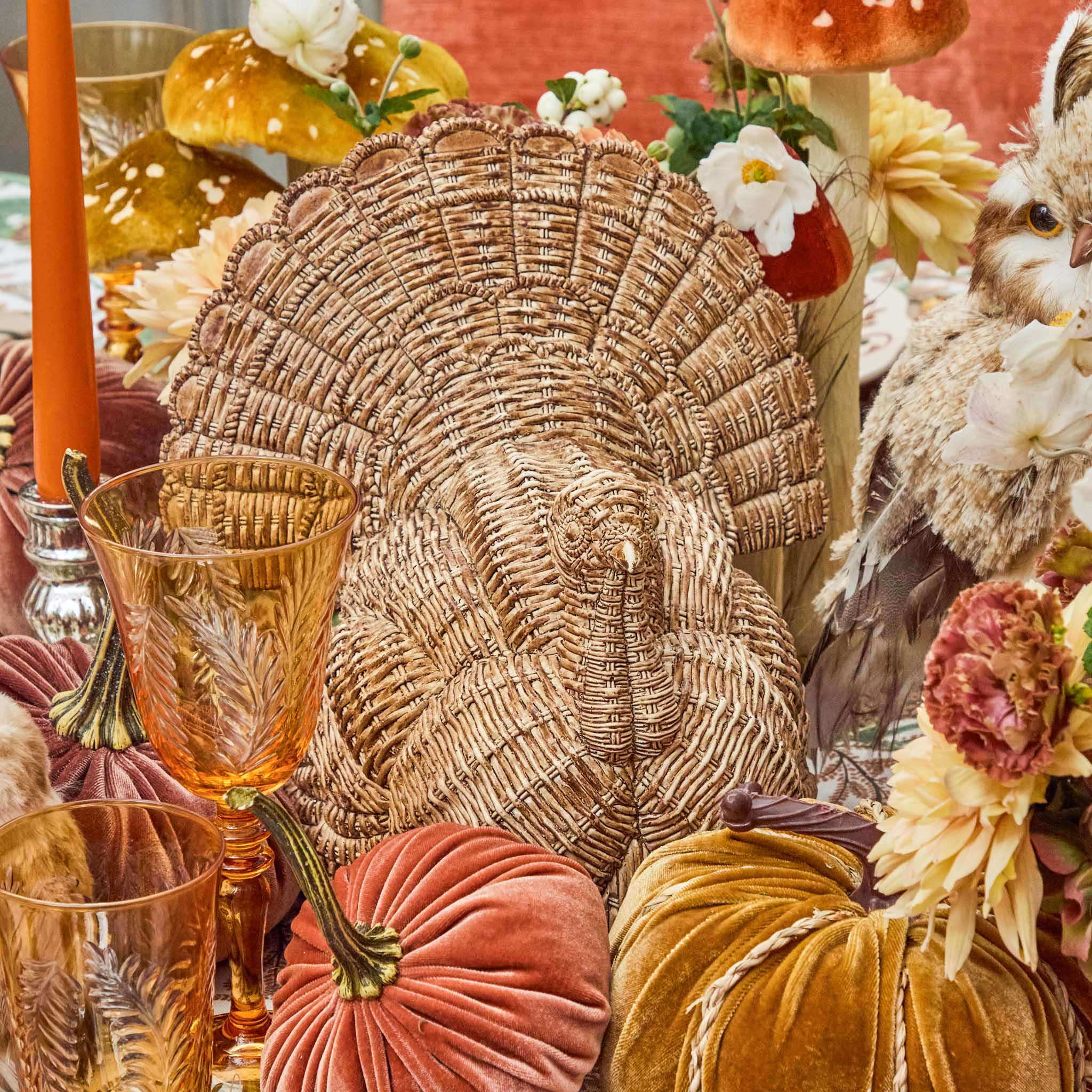 Tom the Turkey - Image 7