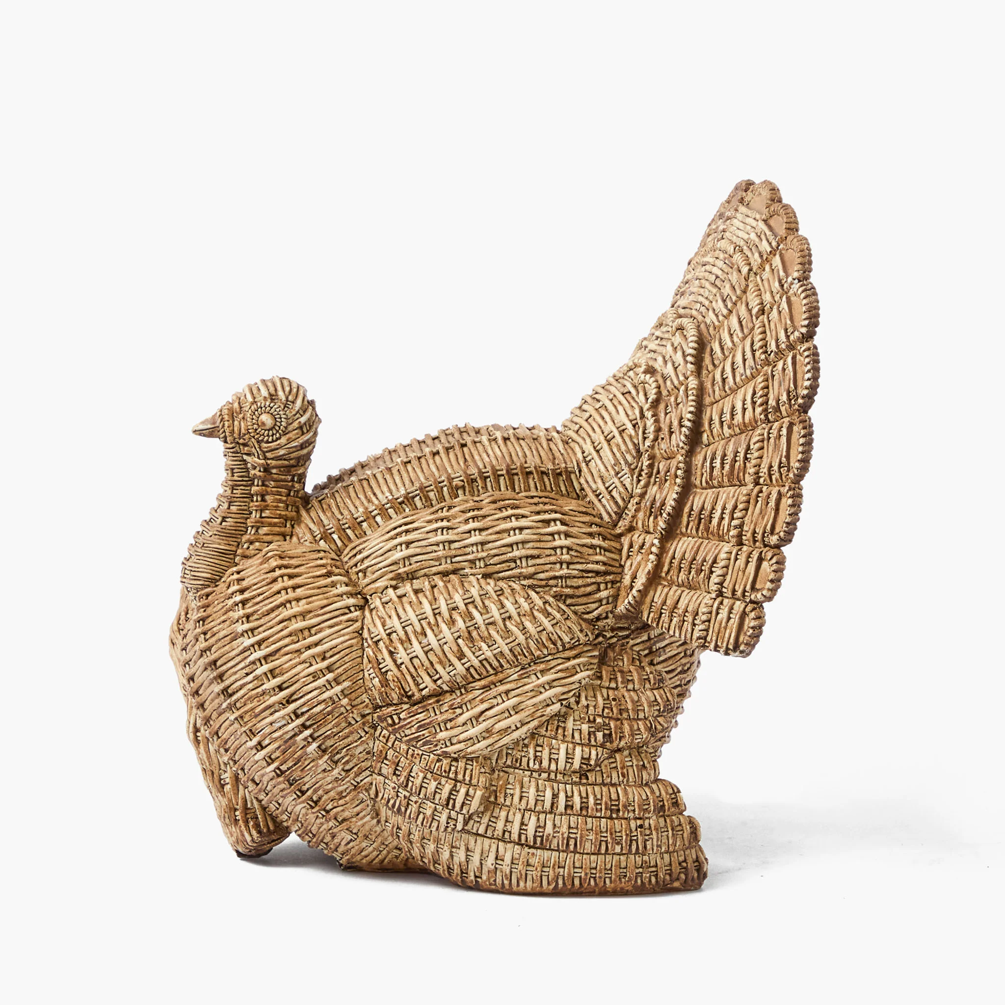 Tom the Turkey - Image 8